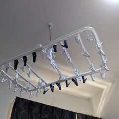 【0円】ニトリ 干し分け角ハンガー 40ピンチの画像