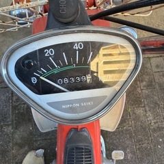 シャリー50
の画像