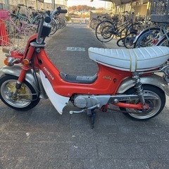 シャリー50
の画像