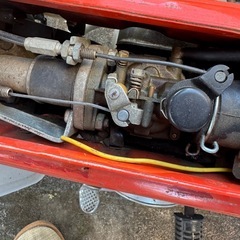 シャリー50
の画像