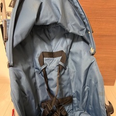 ベビーバギーの画像