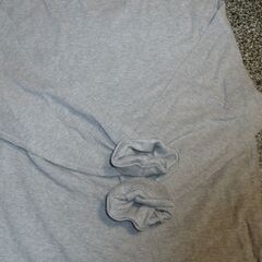 アメリカンイーグルのトレーナーの画像