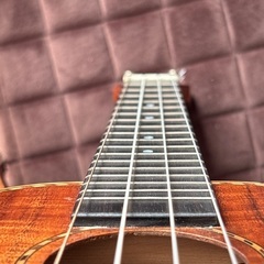 【KAMAKA】カマカハードケース付属ロングネック　ハーブオオタ　ベルシェイプ　ＨＢ-2D 高級モデルの画像