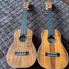 【KAMAKA】カマカハードケース付属ロングネック　ハーブオオタ　ベルシェイプ　ＨＢ-2D 高級モデルの画像