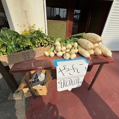 【野菜】ほうれん草、大根、かぶらの画像