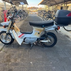 シャリーの画像