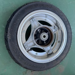 シャリーの画像