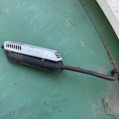 シャリーの画像