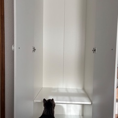 IKEAシンプルクローゼットの画像