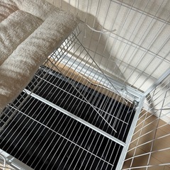 ⭐︎猫　未使用　ペットゲージ⭐︎本日引き取りで無料⭐︎の画像