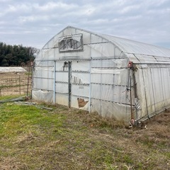 中古 ビニールハウス2棟 の画像