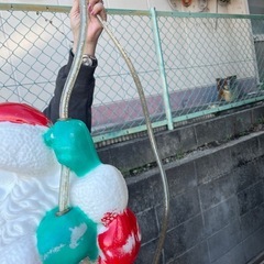 イルミネーション　サンタの画像