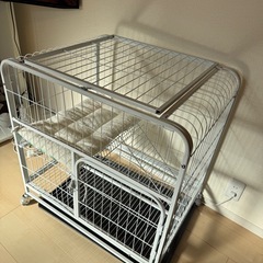 ⭐︎猫　未使用　ペットゲージ⭐︎本日引き取りで無料⭐︎の画像