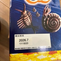 【新品未開封】釣りグミ 30個入の画像