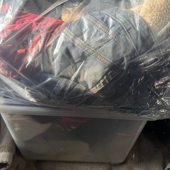 Tシャツ、パーカー、ズボン、Gパン等 全て引き取ってくれる方のみの画像