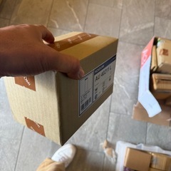 バリードライト　(コイズミ)の画像