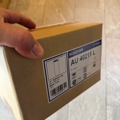 バリードライト　(コイズミ)の画像