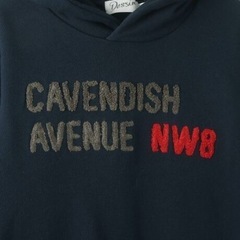 【リンクコーデ】さがら刺繍パーカ 120cmの画像