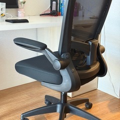 Flexkingオフィスチェア の画像