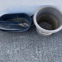 鉢の画像