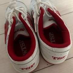 体育館履き　23.5の画像