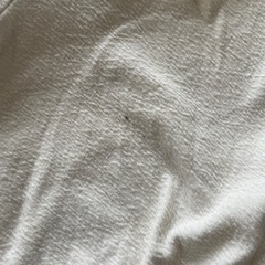 90サイズの画像