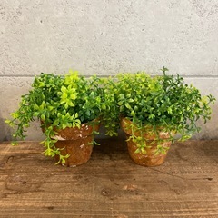 ナチュラルインテリア雑貨　まとめての画像