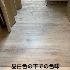 ①約1.6畳分　フロアタイル　20枚　室内用　クッションフロアの画像