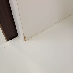 ★リユースのサカイつくば店★TK7596 NITORI レンジ台 ホワイト H202×D50×W100 クリーニング済みの画像