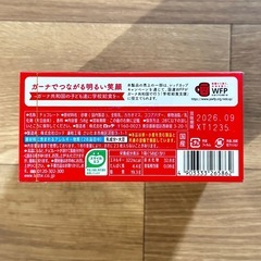 ロッテ ガーナリップル チョコレート 58g 標準23枚 4箱セットの画像