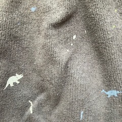 110㎝恐竜ズボンの画像