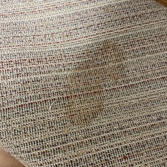 ニトリ アクセントラグ NジークMO の画像