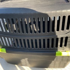 大型犬クレートの画像