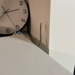 ガラスケースの画像