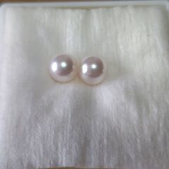 ★パール（種類不明）の画像