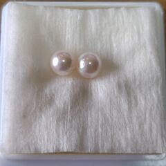 ★パール（種類不明）の画像
