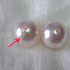 ★パール（種類不明）の画像