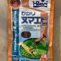 【ミナミヌマエビ約60匹（300円）】＋【エビ専用エサ（無料）】＋【手ぶらＯＫ】の画像