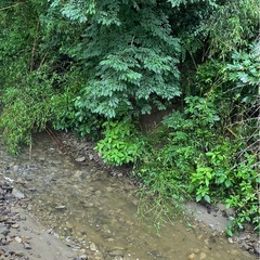 キャンプ場用地、ドッグラン、建築条件無しの平地！川のせせらぎ！電気開通済！井戸掘り済！ - 富津市