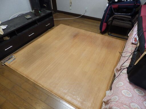 Panasonic フローリングタイプの電気カーペット 約2畳