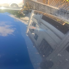 トヨタ　saiの画像