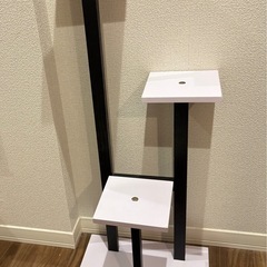 観葉植物等飾り棚の画像