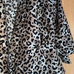 moussy 🐆ブラウスの画像