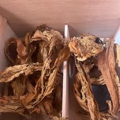 葉っぱのオブジェの画像