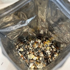 ハムスター　飼育セット　ケージの画像