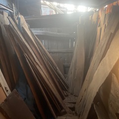  再更新 杉の木 薪やDIYにどうぞの画像