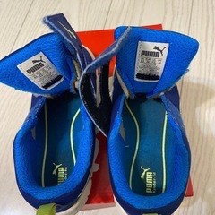 PUMA スニーカー 16.0 青の画像