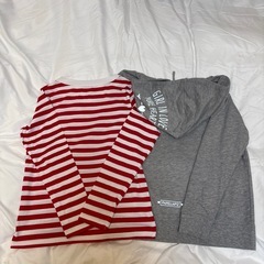 ベルメゾンパペルラピスJM１６０サイズの画像