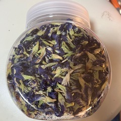 バタフライピーの画像