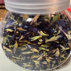 バタフライピーの画像